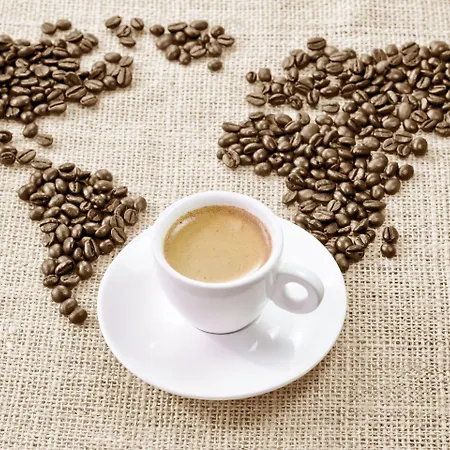 Comfort Cannes Hotel 4*